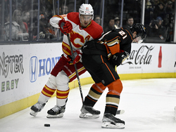 Flames Ducks Hockey