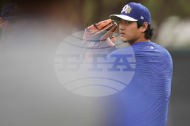 Dodgers Spring Baseball