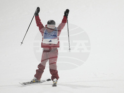 Milan Cortina Olympics Freestyle Skiing