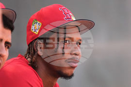 Twins Spring Baseball