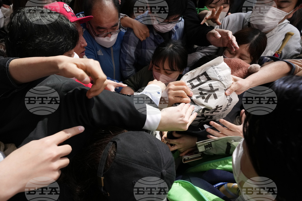 WBC Baseball Japan Reax
