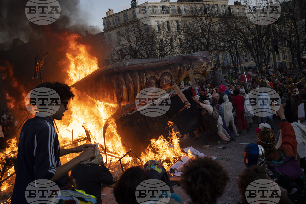 France Marseille Carnival Photo Gallery