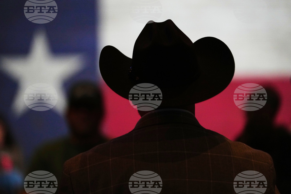 Election 2026 Texas Senate