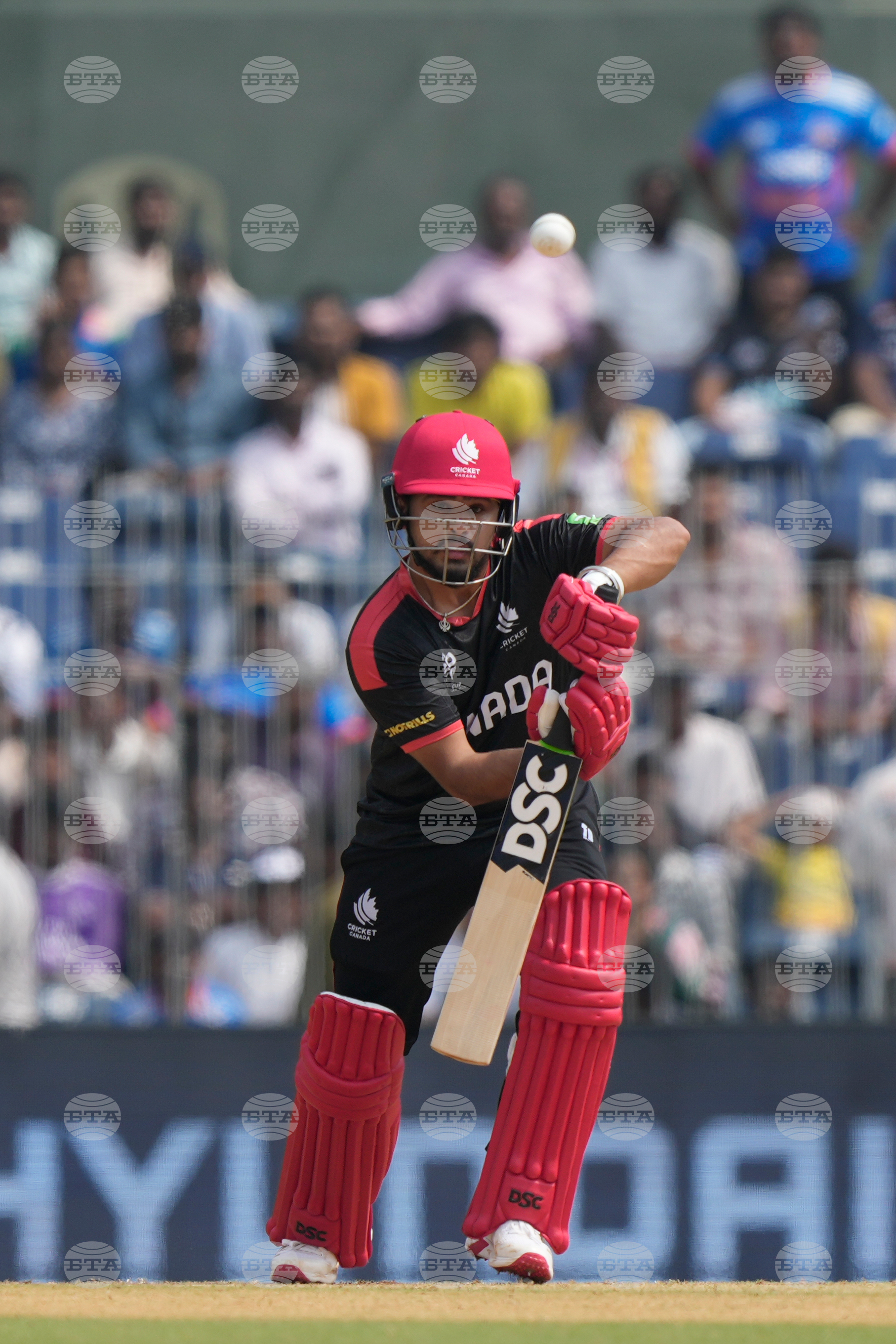 Canada New Zealand T20 WCup Cricket