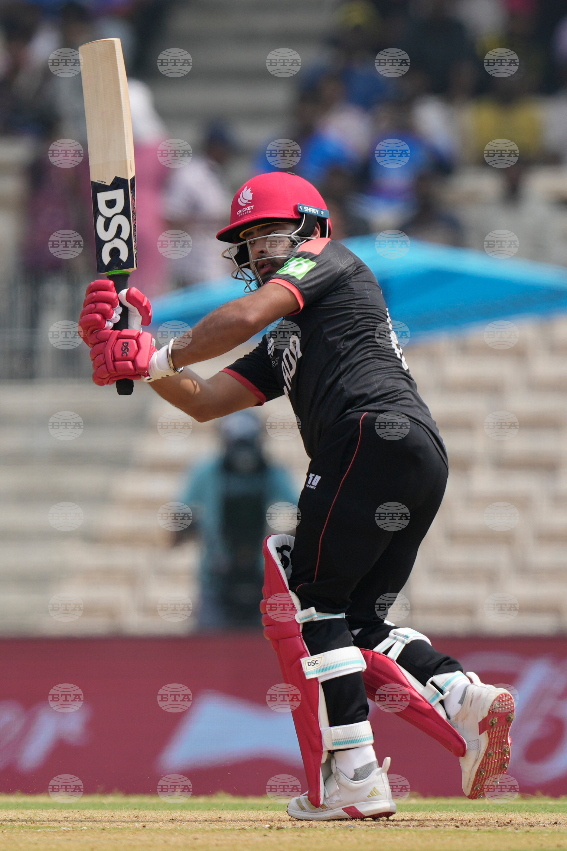 Canada New Zealand T20 WCup Cricket