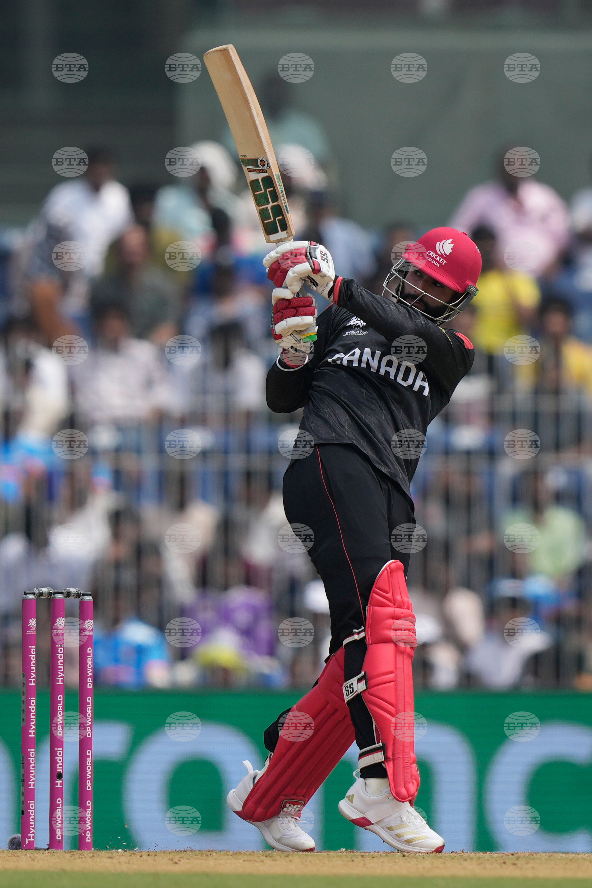 Canada New Zealand T20 WCup Cricket