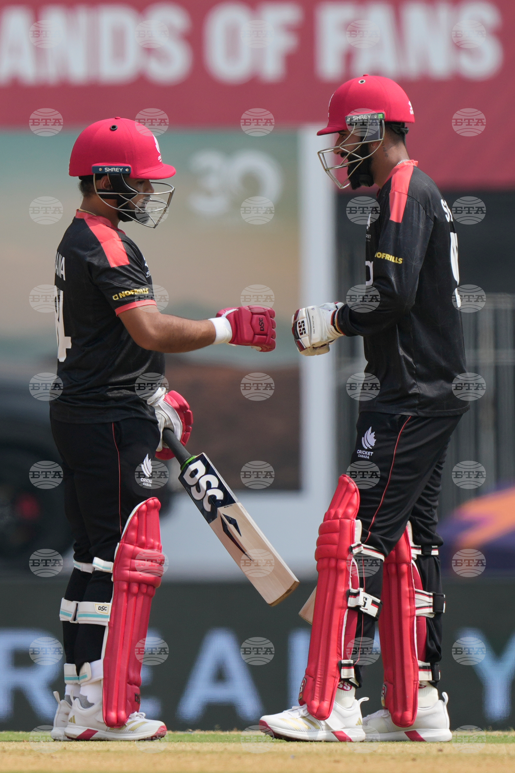 Canada New Zealand T20 WCup Cricket
