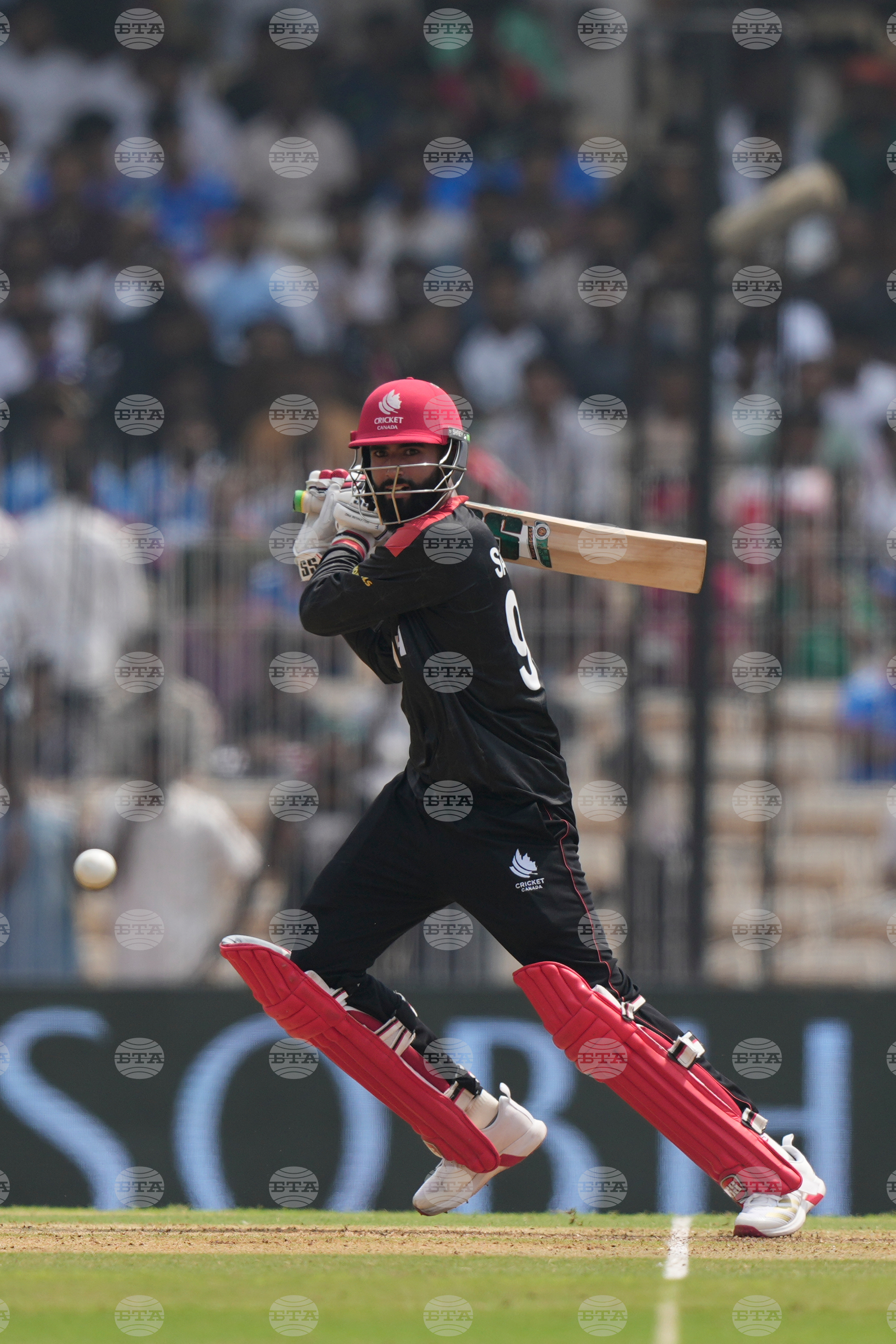 Canada New Zealand T20 WCup Cricket