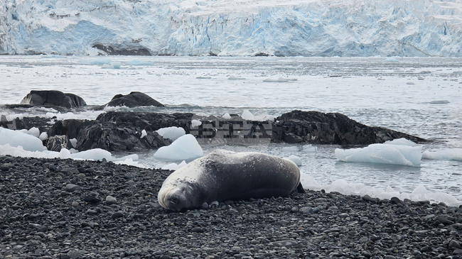 Научноизследователският кораб „Св. св. Кирил и Методий" ще отплава днес от Антарктида