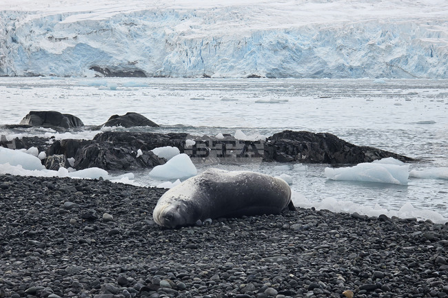 Научноизследователският кораб „Св. св. Кирил и Методий" ще отплава днес от Антарктида