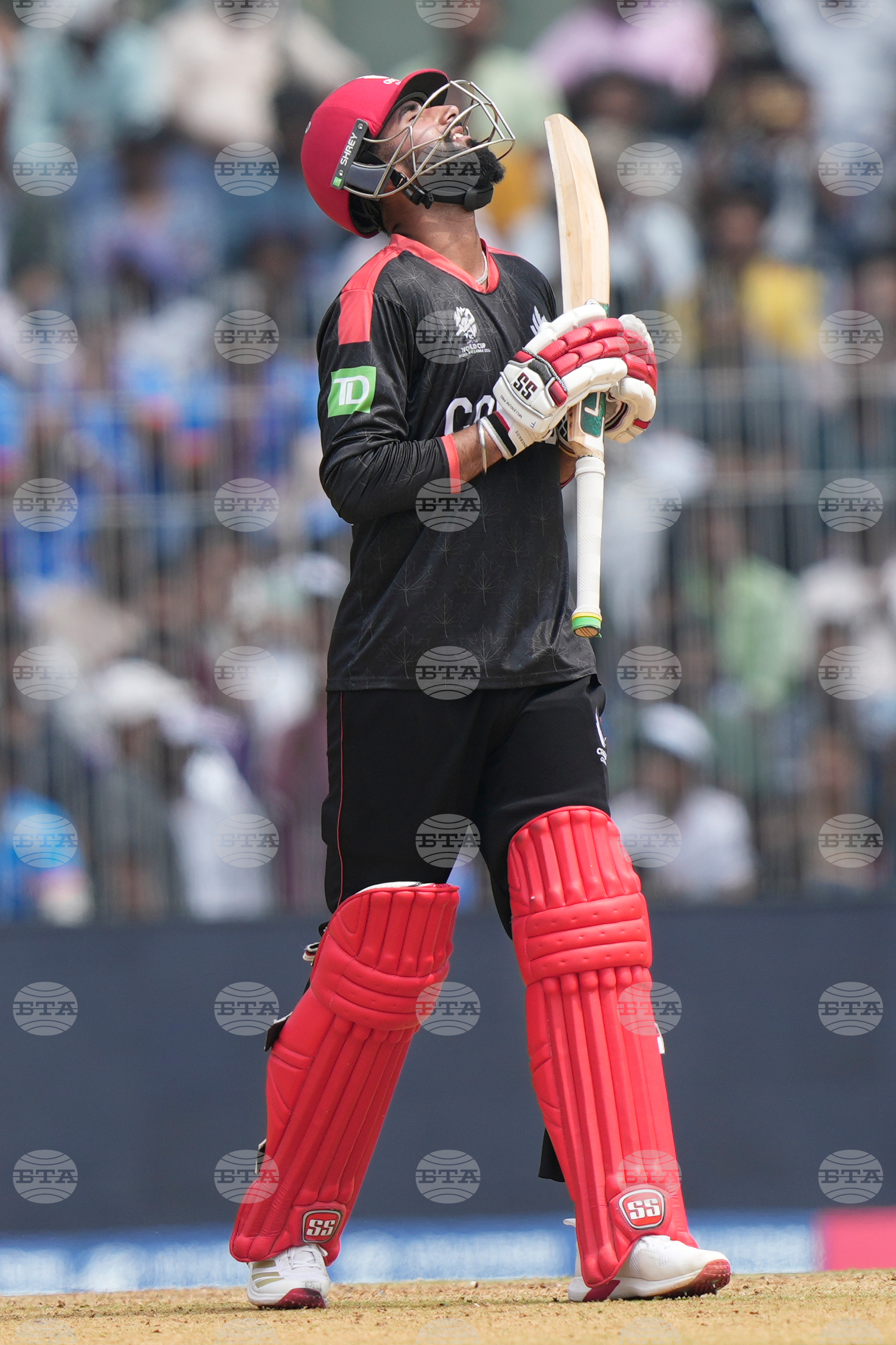 Canada New Zealand T20 WCup Cricket