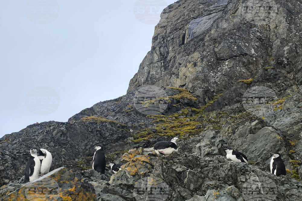 Антарктида - изглед
