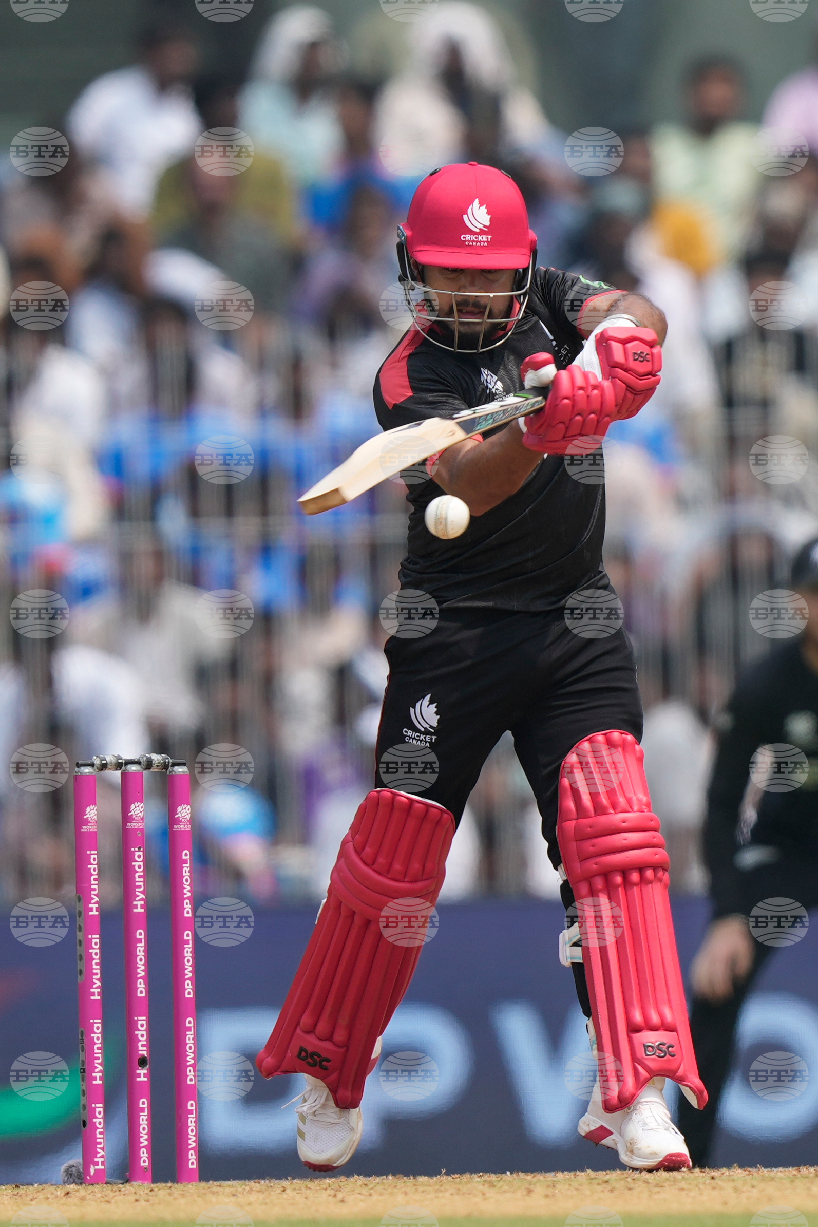 Canada New Zealand T20 WCup Cricket
