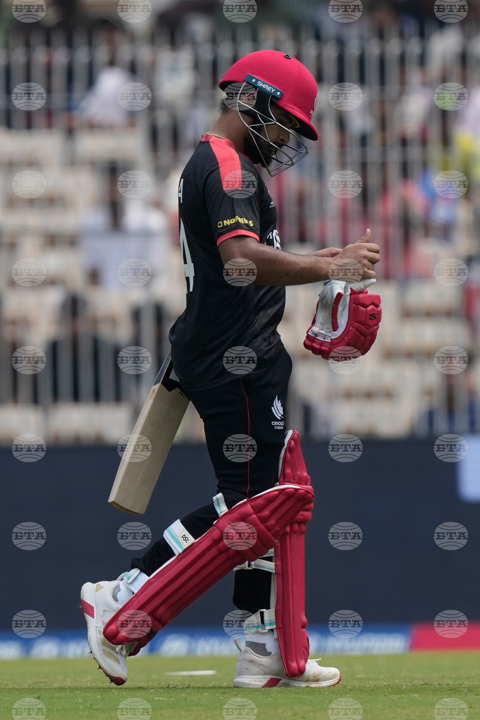 Canada New Zealand T20 WCup Cricket