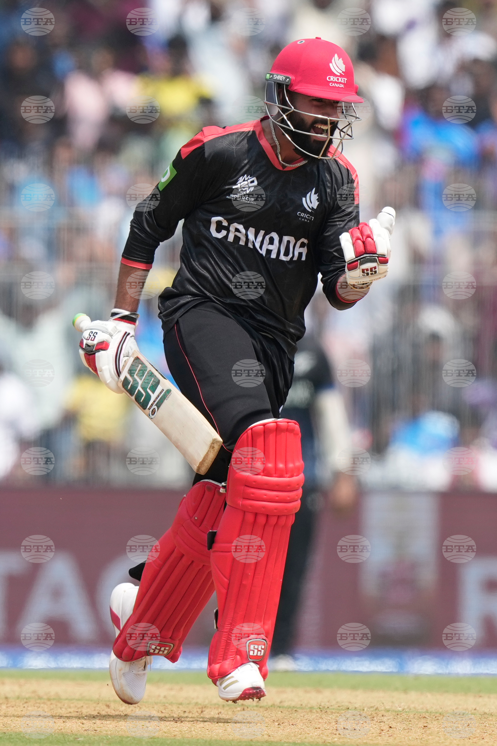 Canada New Zealand T20 WCup Cricket