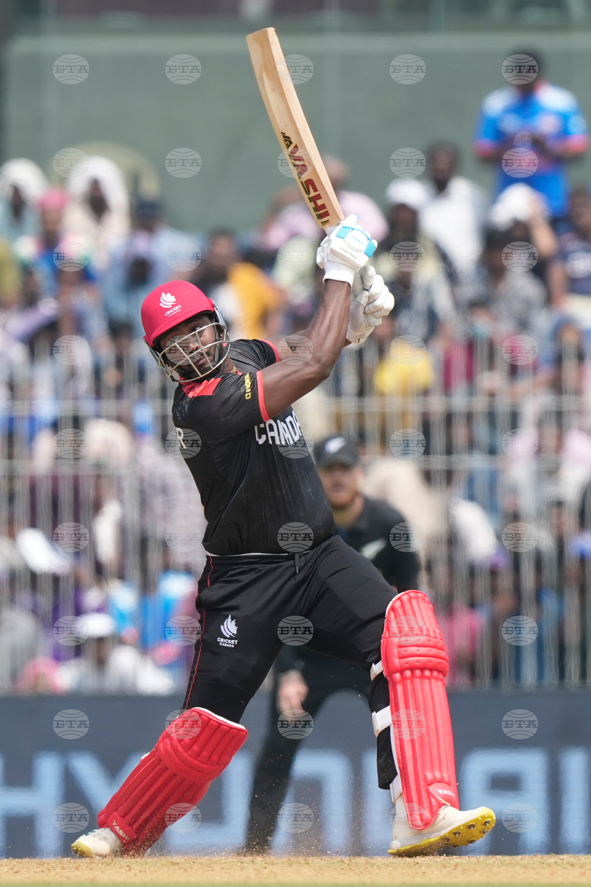 Canada New Zealand T20 WCup Cricket