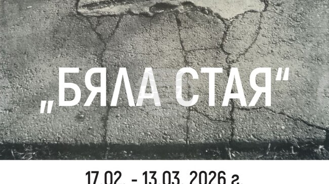 Посмъртната изложба на Илия Пашов „Бяла стая“ ще бъде открита днес