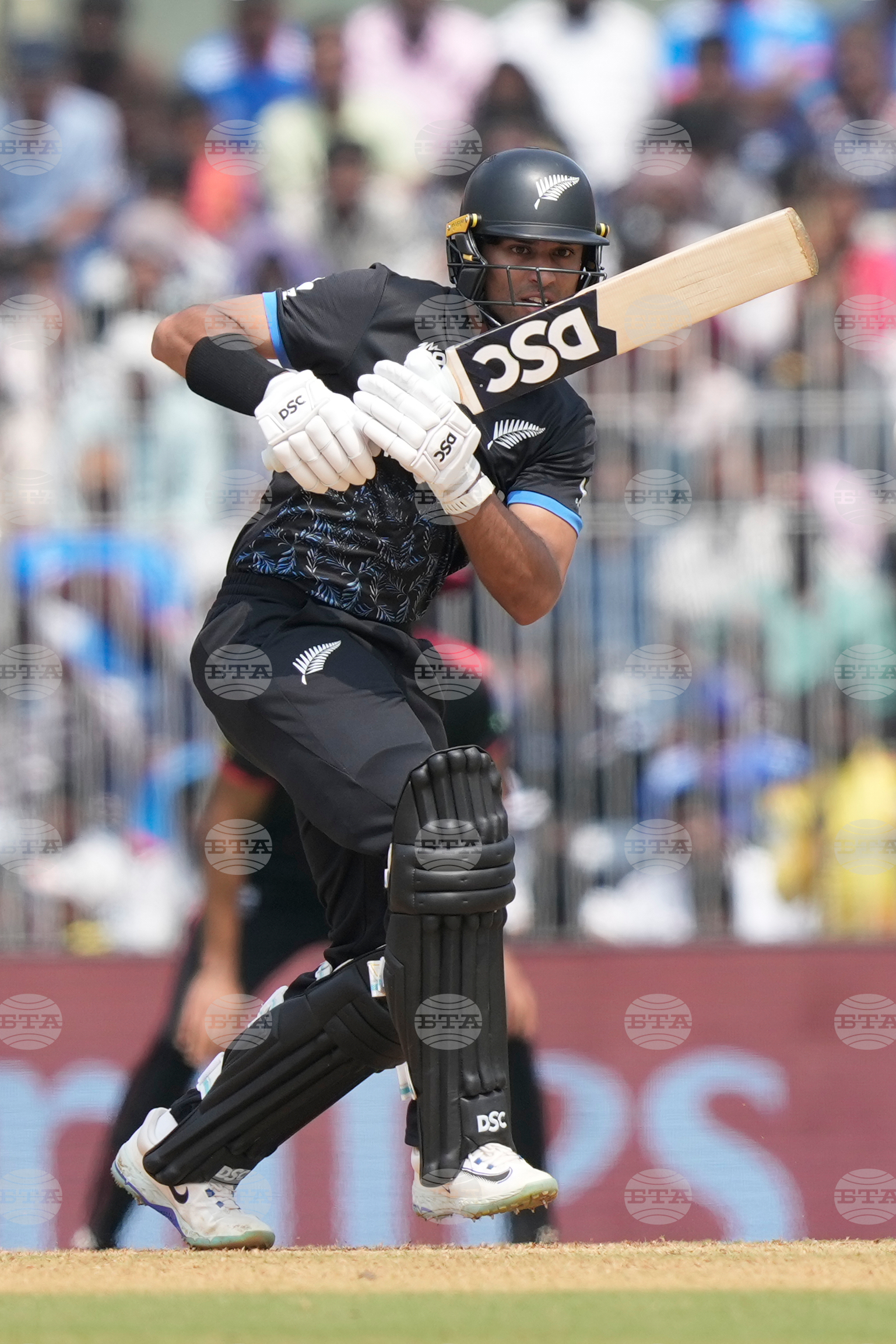 Canada New Zealand T20 WCup Cricket