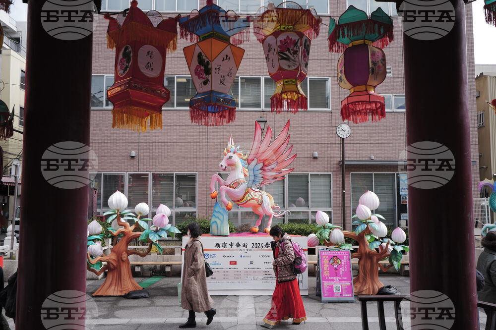 Japan Lunar New Year