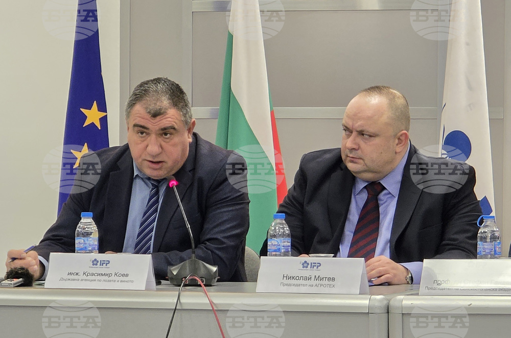 Над три четвърти от заетите във винения сектор са под 50 години, отчетоха от Агенцията по лозата и виното