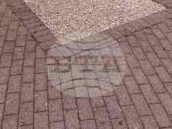 Снимка: Община Хасково