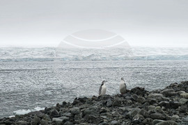 Antarctica - View