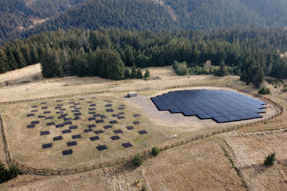 Bulgaria to Build Southeast Europe's First LOFAR Radiotelescope Station by End-2026