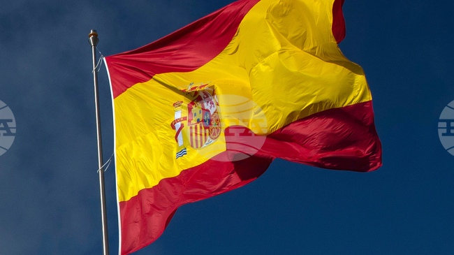 Испания разби с помощта на Франция престъпна банда, управлявала най-голямата фабрика за парфюми менте в Европа