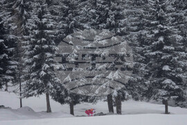 Milan Cortina Olympics Biathlon