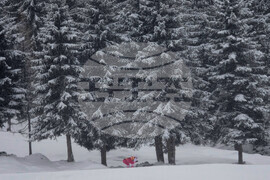 APTOPIX Milan Cortina Olympics Biathlon