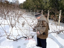 Снимки: БТА, Одеса