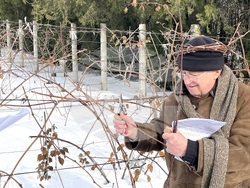 Снимки: БТА, Одеса