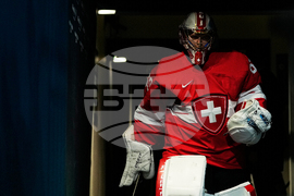 Milan Cortina Olympics Ice Hockey