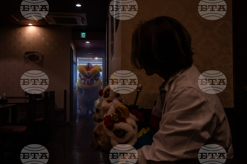 Japan Lunar New Year