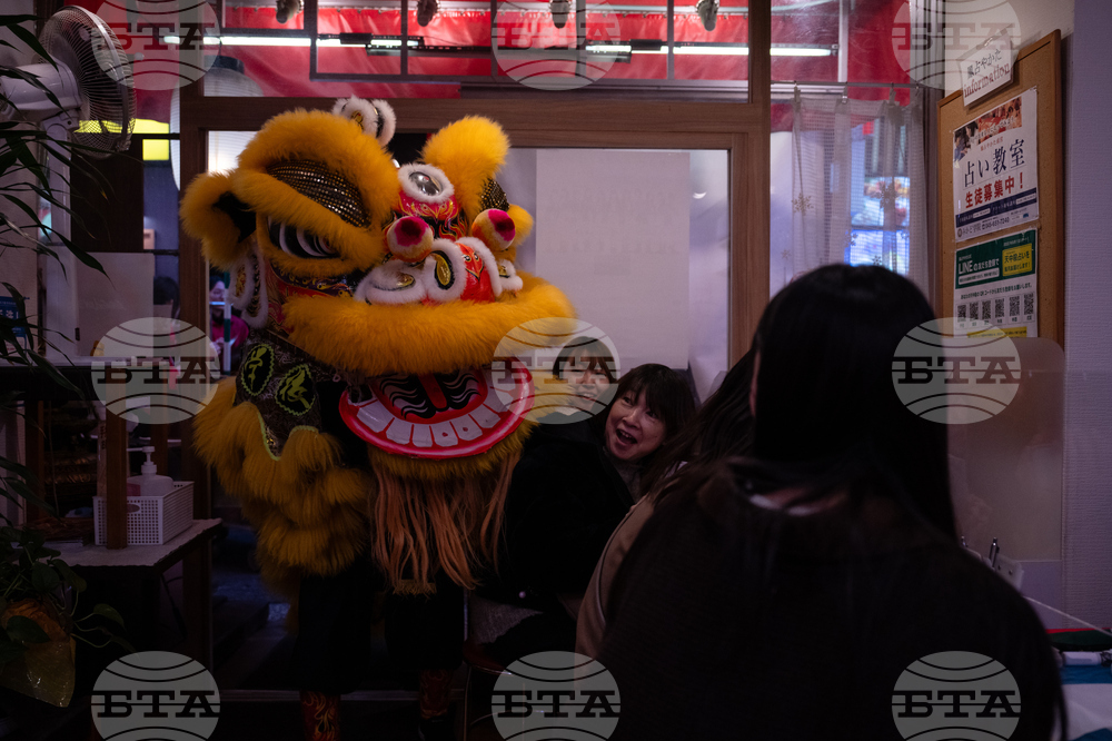 Japan Lunar New Year