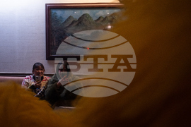 Japan Lunar New Year