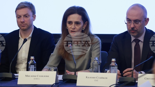 Около 30 на сто от енергийното потребление в България се осигурява от ВЕИ, заяви председателят на Българската ветроенергийна асоциация 