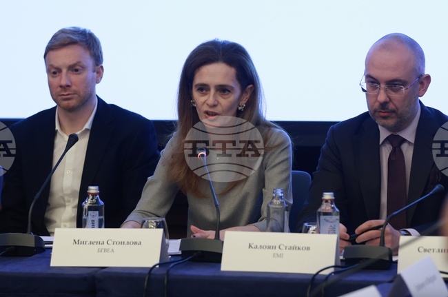 Около 30 на сто от енергийното потребление в България се осигурява от ВЕИ, заяви председателят на Българската ветроенергийна асоциация 