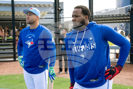Blue Jays Spring Baseball