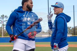 Blue Jays Spring Baseball