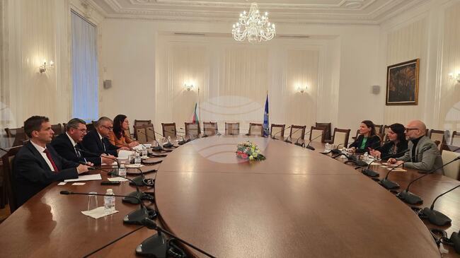 Alliance for Rights and Freedoms Meets with OSCE Delegation