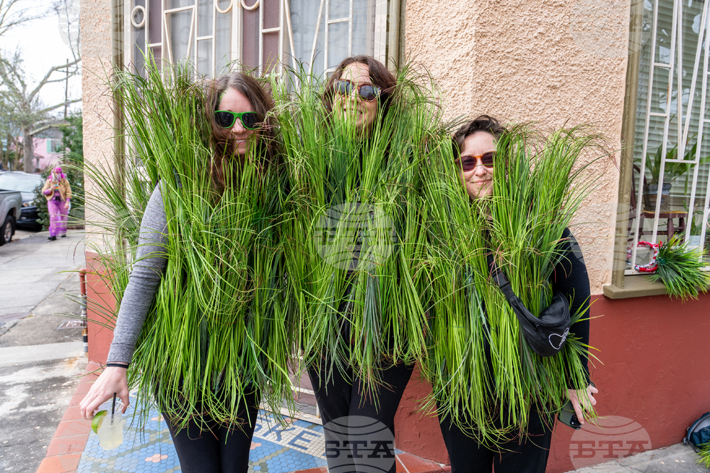 2026 Mardi Gras Parades