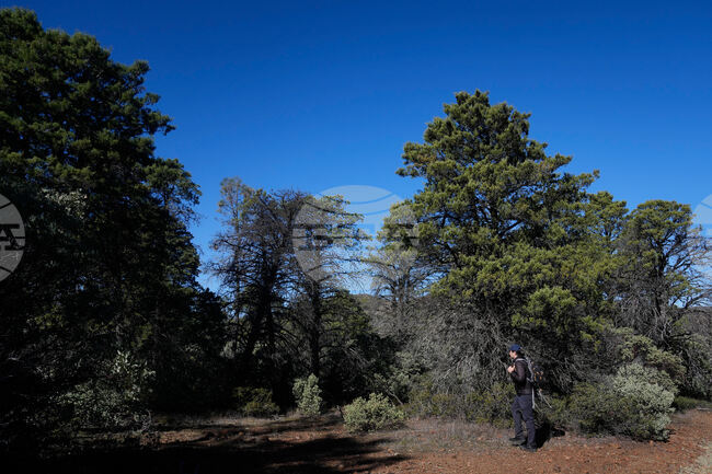 CORRECTION Climate Fungi Conservation