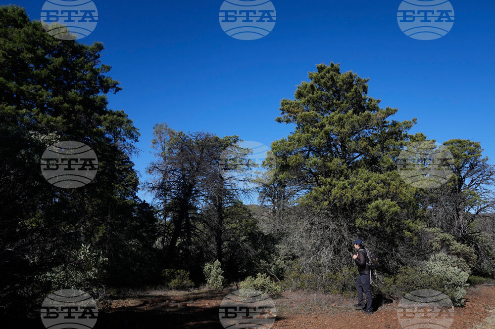 CORRECTION Climate Fungi Conservation