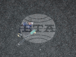 Milan Cortina Olympics Freestyle Skiing