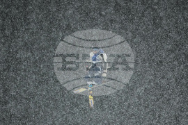 Milan Cortina Olympics Freestyle Skiing