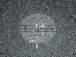 Milan Cortina Olympics Freestyle Skiing