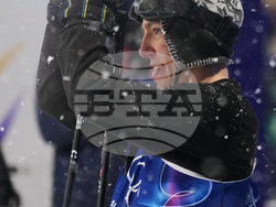 Milan Cortina Olympics Freestyle Skiing