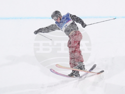 Milan Cortina Olympics Freestyle Skiing