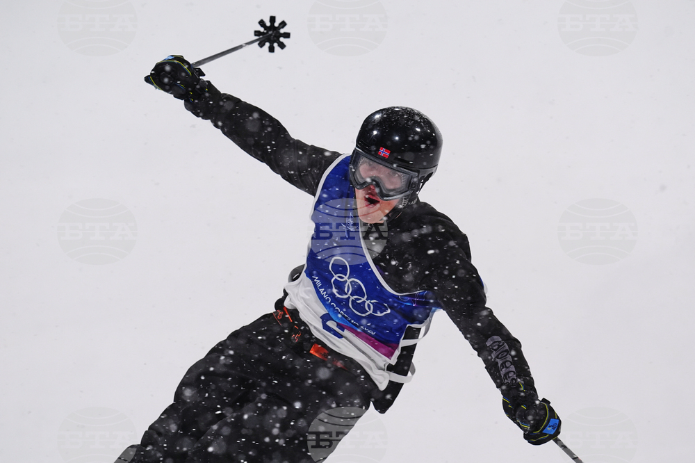 Milan Cortina Olympics Freestyle Skiing